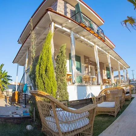 Panjur Cunda Ayvalı