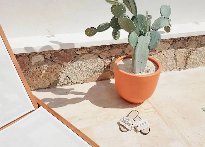 Panjur Cunda * Ayvalı